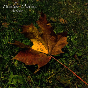 mc外国知名主播stacy plays
